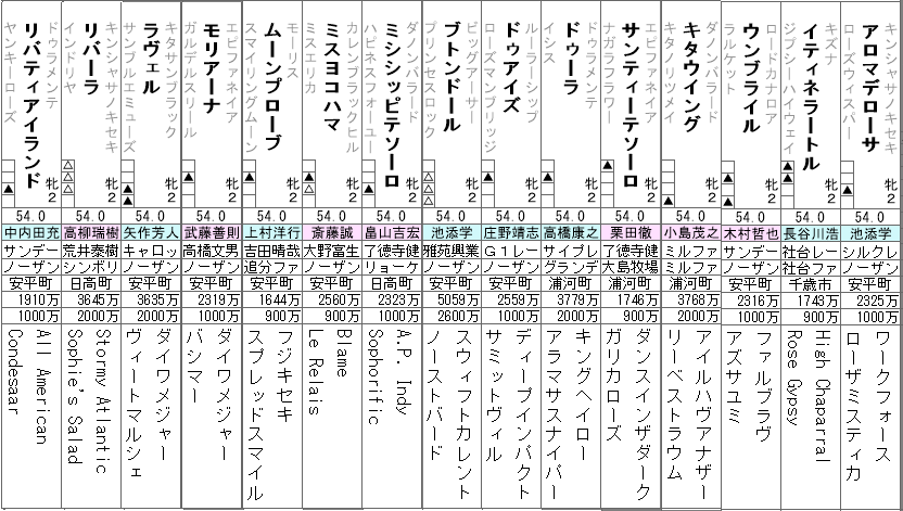 阪神ジュベナイルフィリーズ 2022 出走馬全頭分析 ~抽選対象は除きます~