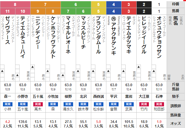 土曜中山10R 中山大障害 予想