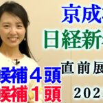 日経新春杯 2023 出走馬全頭分析