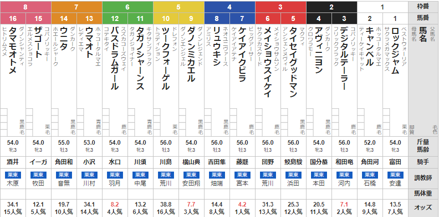 日曜中京4R メイクデビュー中京 予想