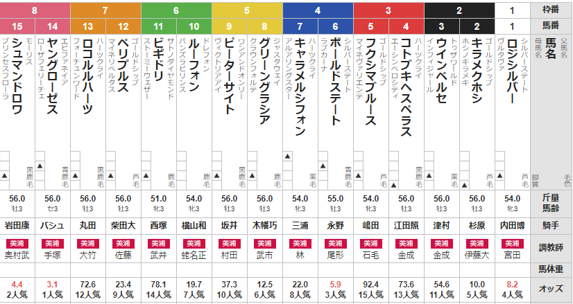 日曜中山5R 3歳未勝利 予想