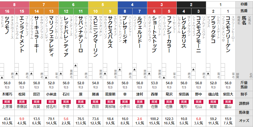 日曜中山5R 3歳未勝利 予想