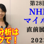 火曜名古屋11R かきつばた記念　予想