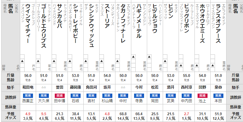 マーメイドS 2023 出走馬全頭分析