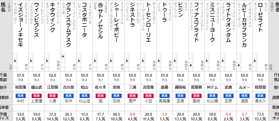 クイーンS 2023 出走馬全頭分析