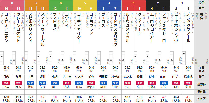 日曜新潟6R 3歳未勝利 予想