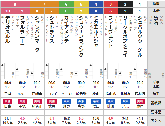 土曜東京11R 東スポ杯2歳S 予想