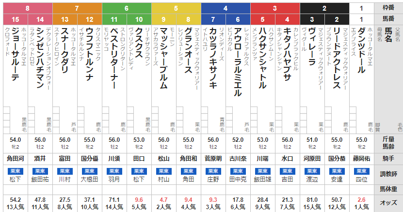 日曜京都4R メイクデビュー京都 予想