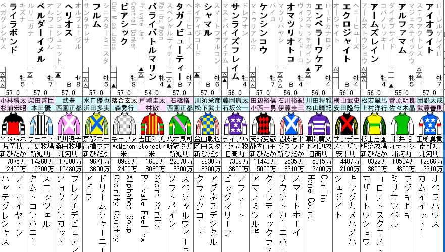 根岸S 2024 出走馬全頭分析