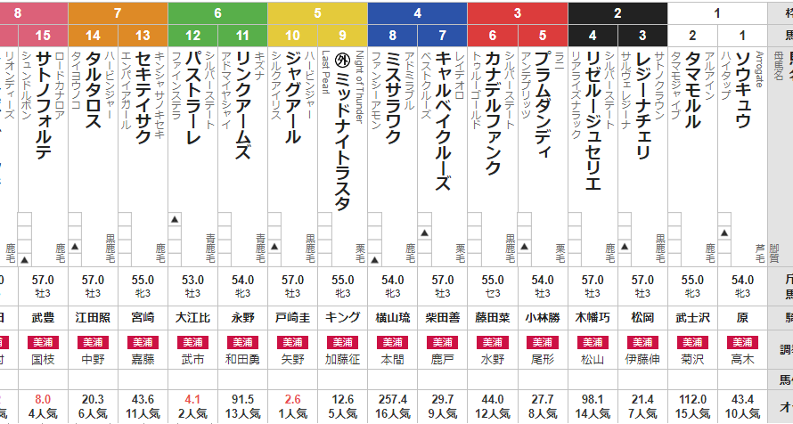 日曜中山5R 3歳未勝利　予想　～馬連ワイド1点的中＆3連単的中～