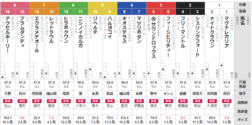 日曜東京3R 3歳未勝利　予想　～3連複172.8倍！万馬券的中！～