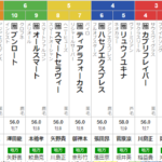 水曜船橋11R 習志野きらっとスプリント　予想