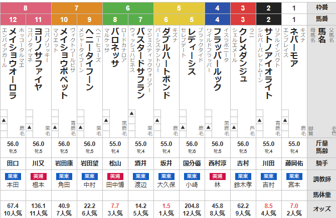 土曜京都11R 舞鶴ステークス 予想
