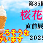 桜花賞 2025 出走馬全頭分析