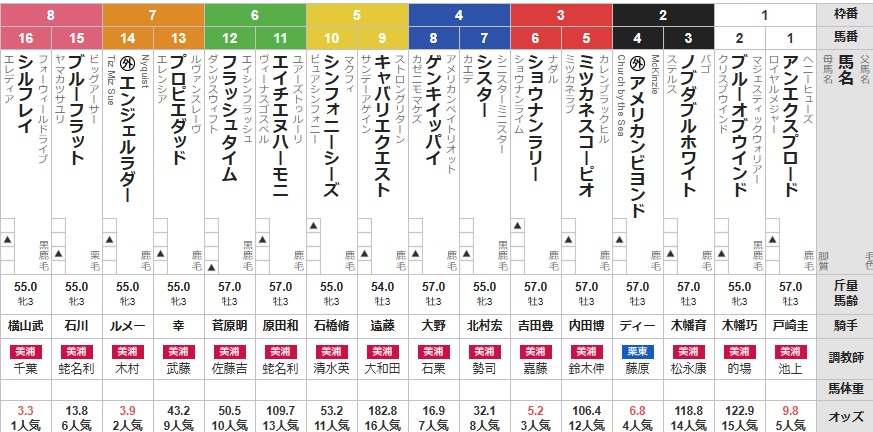 日曜東京3R 3歳未勝利 予想