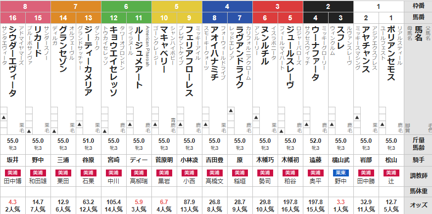 日曜東京2R 3歳未勝利 予想