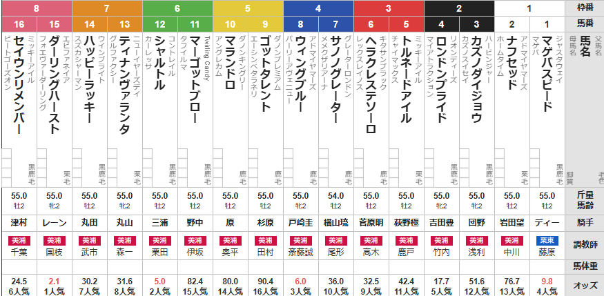 日曜東京5R メイクデビュー東京　予想