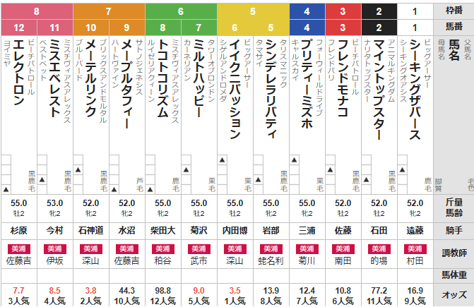 土曜新潟3R 2歳未勝利 予想