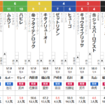 土曜中山11R イサ･ビン･サルマン･アルカリファ殿下御来場記念 予想