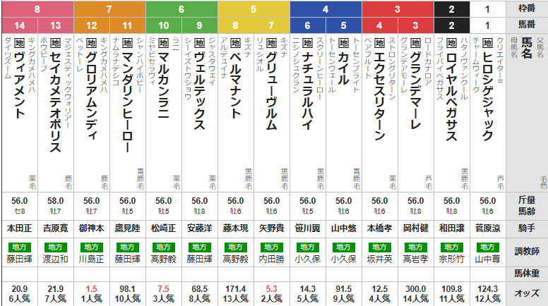 水曜大井11R 東京記念 予想