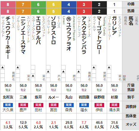 土曜東京11R サウジアラビアロイヤルC　予想