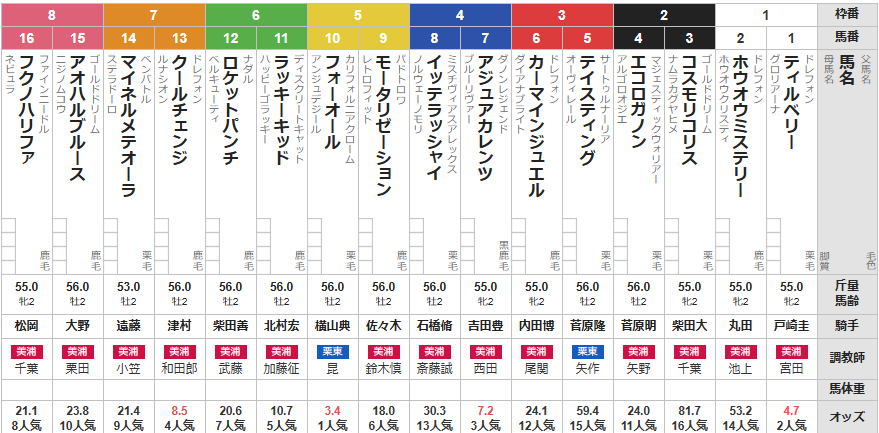 日曜東京4R メイクデビュー東京 予想