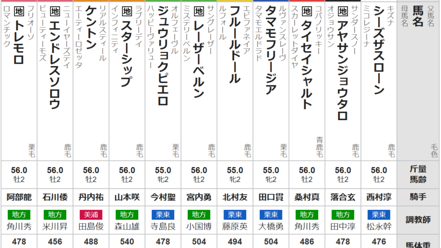 月曜門別11R JBC２歳優駿　予想