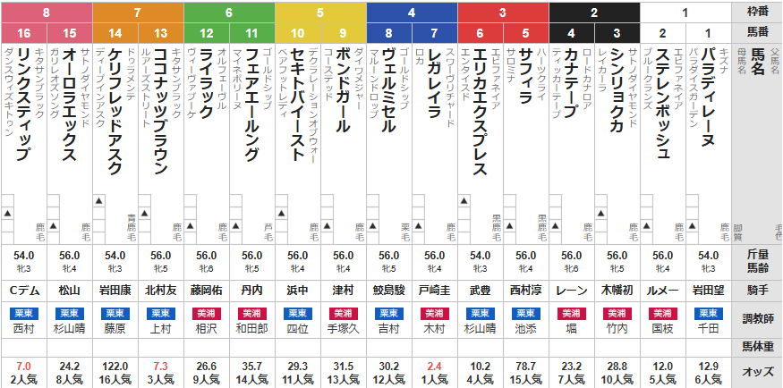 日曜東京4R メイクデビュー東京　予想