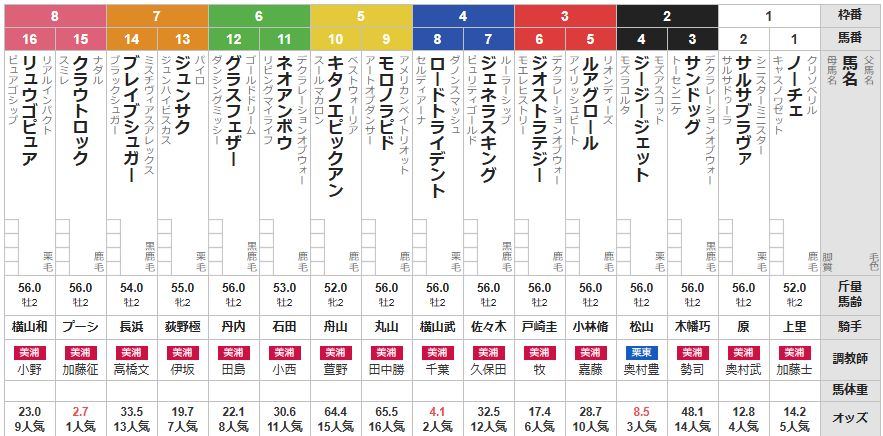 日曜中山5R メイクデビュー中山　予想