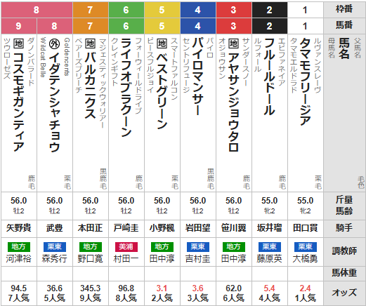 水曜川崎11R 全日本２歳優駿　予想