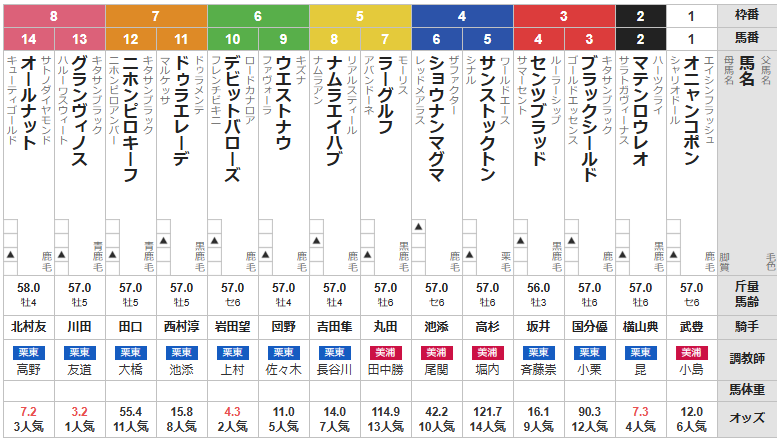 土曜阪神11R 鳴尾記念　予想
