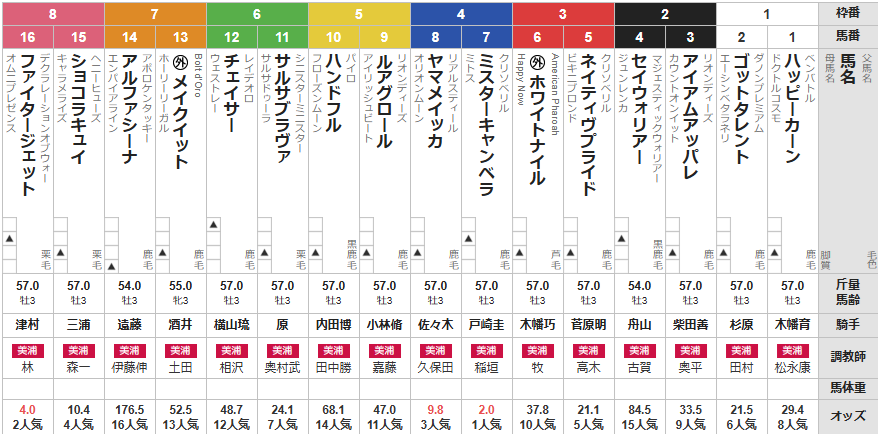 日曜中山3R 3歳未勝利　予想