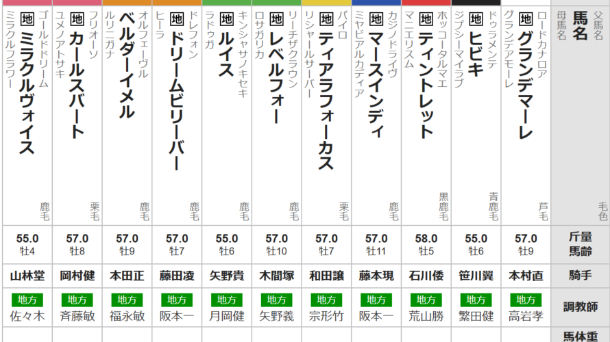 水曜大井11R ’26 ウインタースプリント競走　予想