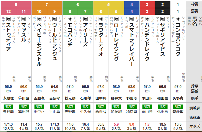 水曜浦和11R ニューイヤーカップ　予想